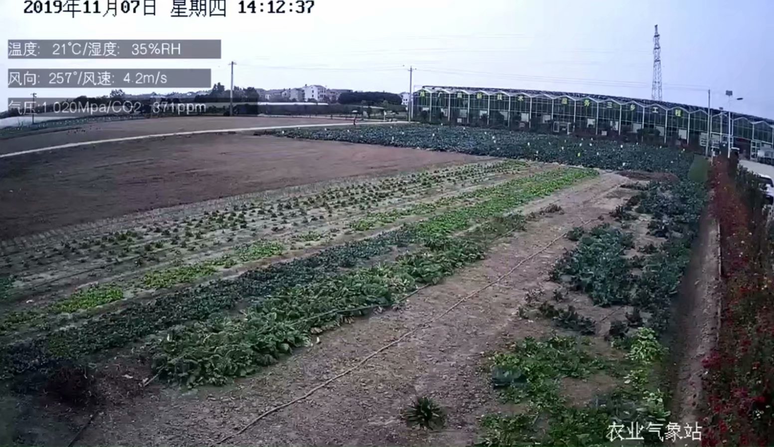 广州XX农业试范基地接入蜂目云，开启农场直播